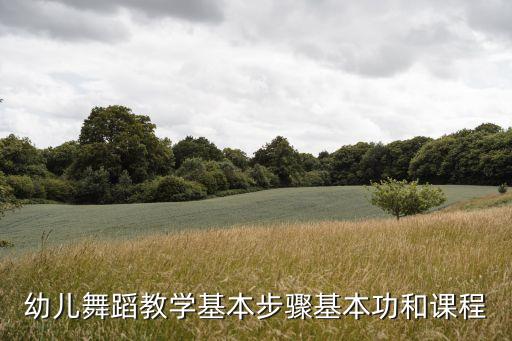 幼儿舞蹈教学基本步骤基本功和课程