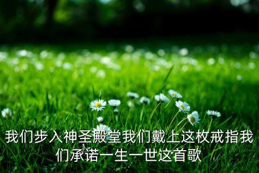 痴情的新娘是什么歌，我们步入神圣殿堂我们戴上这枚戒指我们承诺一生一世这首歌