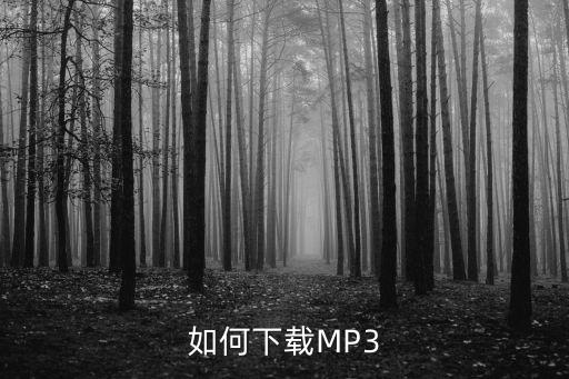 如何下载MP3