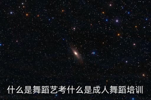 什么是舞蹈艺考什么是成人舞蹈培训