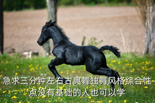 急求三分钟左右古典舞独舞风格综合性点没有基础的人也可以学