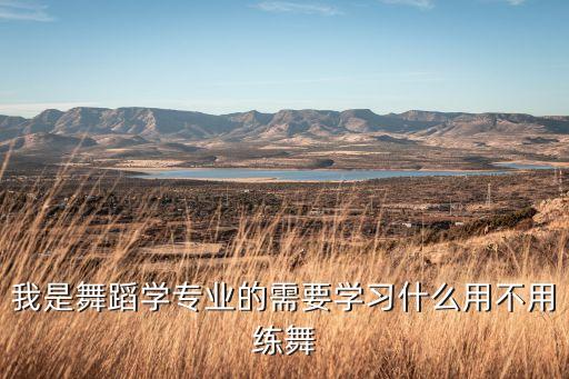 舞蹈专业都学什么，我是舞蹈学专业的需要学习什么用不用练舞