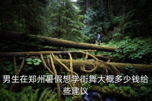 舞蹈暑假班一般多少钱一小时啊，孩子暑假报个班如跆拳道拉丁舞这样的班要多少钱
