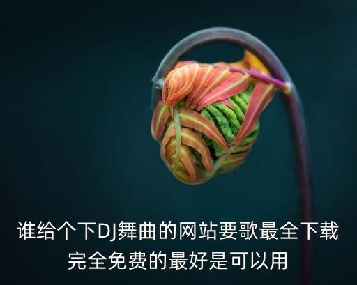 谁给个下DJ舞曲的网站要歌最全下载完全免费的最好是可以用