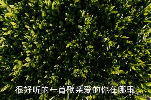 正点亲爱的你在哪里广场舞歌曲，亲爱的你在哪里是谁唱的啊