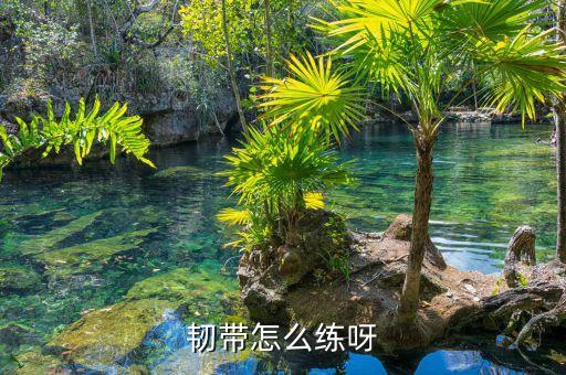 韧带怎么练呀