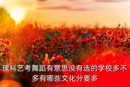 理科艺考舞蹈有意思没有选的学校多不多有哪些文化分要多