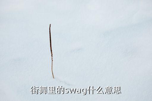 swag是什么舞种，的swag是什么意思 swag究竟有什么意思
