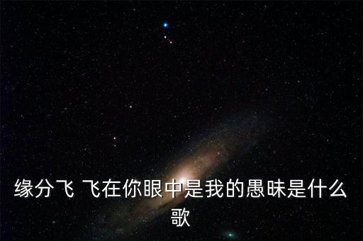 缘分飞 飞在你眼中是我的愚昧是什么歌