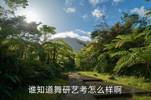 舞研艺考真的保过吗，谁知道舞研艺考怎么样啊