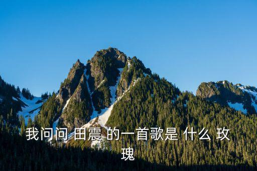 我问问 田震 的一首歌是 什么 玫瑰