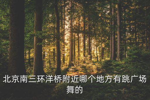 北京南三环洋桥附近哪个地方有跳广场舞的