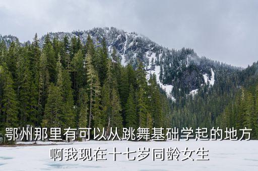 鄂州那里有可以从跳舞基础学起的地方啊我现在十七岁同龄女生