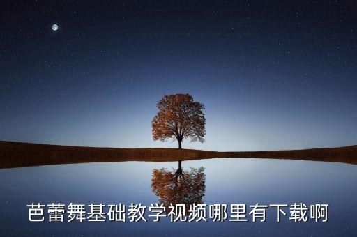 芭蕾舞基础教学视频哪里有下载啊