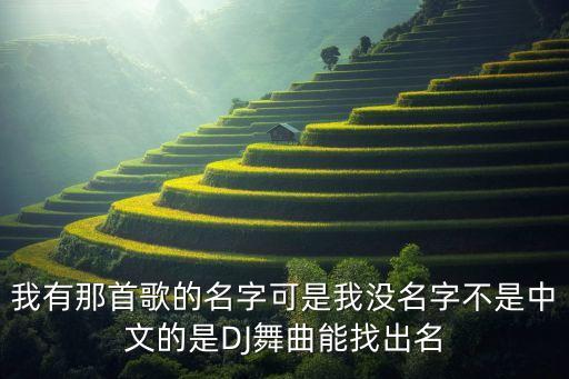 我有那首歌的名字可是我没名字不是中文的是DJ舞曲能找出名