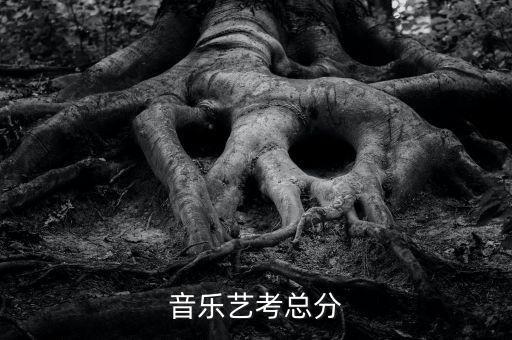 2023年舞蹈艺考总分，舞蹈艺考生要怎么考文化课考什么 分数线是多少