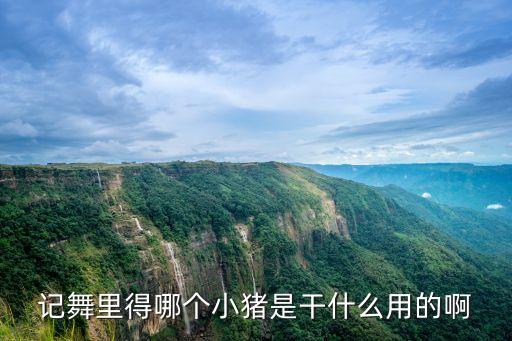 记舞里得哪个小猪是干什么用的啊