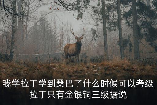 我学拉丁学到桑巴了什么时候可以考级拉丁只有金银铜三级据说