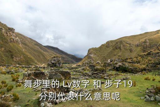 16步32步有什么区别，广场12步13步 16步18步17步24步32步 24步的恰恰
