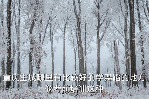 重庆主城哪里有比较好的学舞蹈的地方像考前培训这种