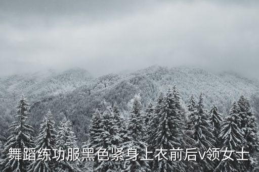 舞蹈练功服女装图片，芭蕾练功服成人的哪个牌子好
