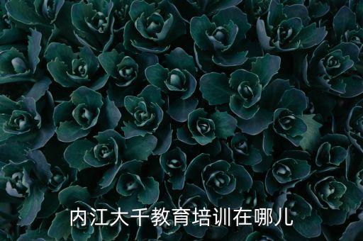 内江大千教育培训在哪儿