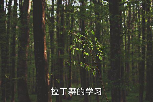 拉丁舞的学习