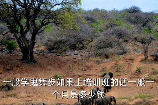 一般学鬼舞步如果上培训班的话一般一个月是多少钱