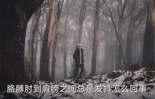 胳膊肘到肩膀之间总是发抖怎么回事