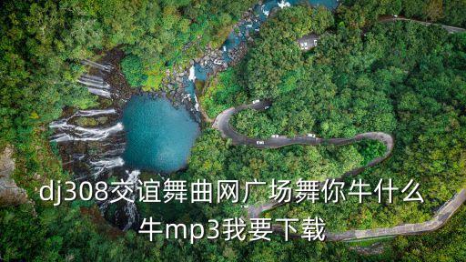脚步广场舞你牛什么牛，广场舞你牛甚么牛mp3