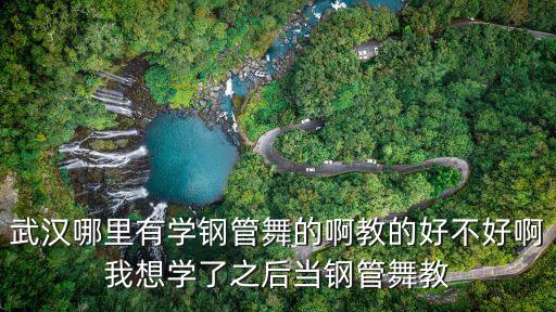 武汉哪里有学钢管舞的，武汉哪里学钢管舞比较好
