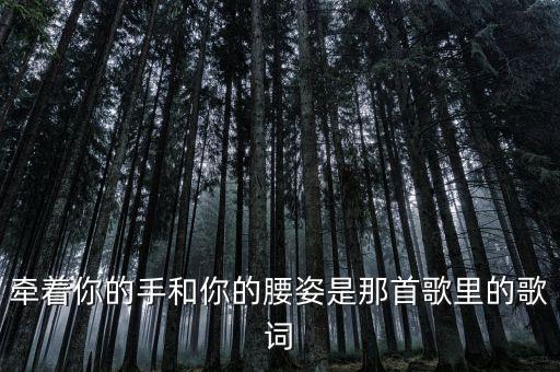 牵着你的手和你的腰姿是那首歌里的歌词