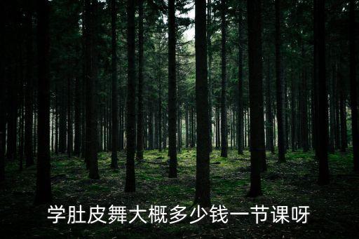 学肚皮舞大概多少钱一节课呀