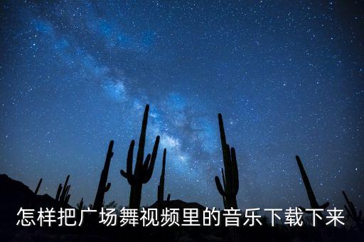 怎样把广场舞视频里的音乐下载下来