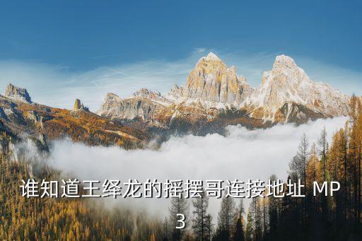 谁知道王绎龙的摇摆哥连接地址 MP3