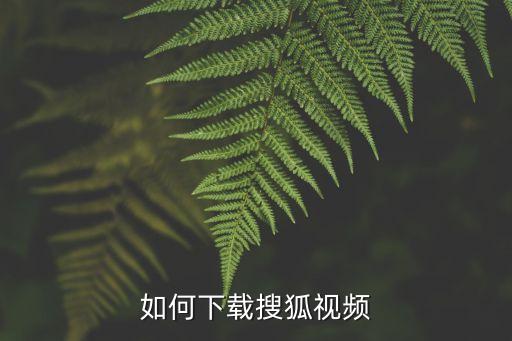 如何下载搜狐视频