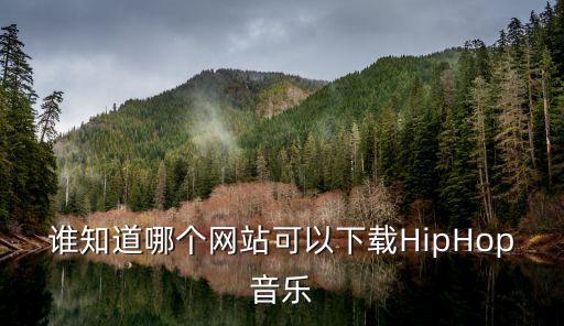 谁知道哪个网站可以下载HipHop音乐