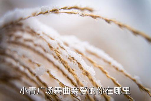 小青广场舞曲亲爱的你在哪里