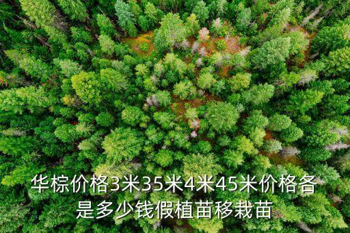 华翎多少钱，国产的华锐牌手机多少钱