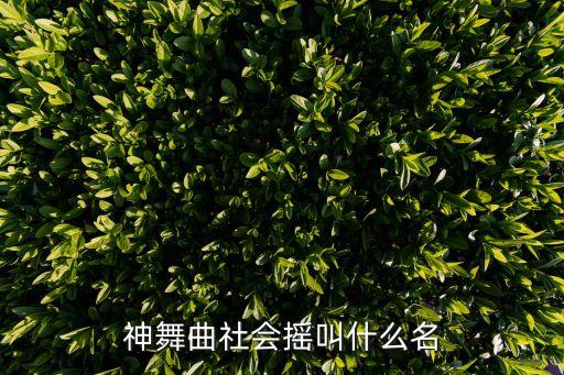 神舞曲社会摇叫什么名