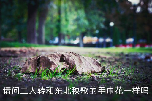 请问二人转和东北秧歌的手巾花一样吗