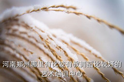 河南郑州哪里有比较有教舞蹈比较好的艺术培训中心