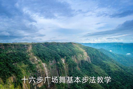 十六步广场舞基本步法教学