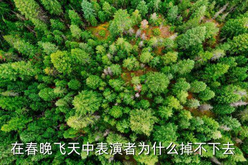 在春晚飞天中表演者为什么掉不下去