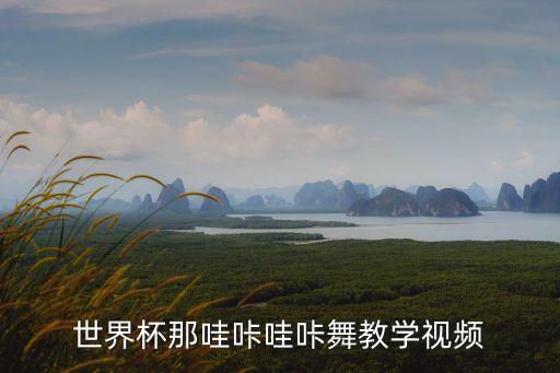 世界杯那哇咔哇咔舞教学视频