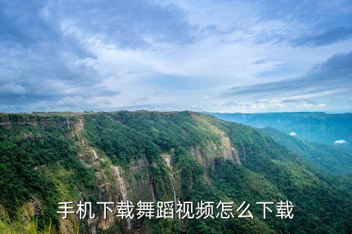 手机下载舞蹈视频怎么下载