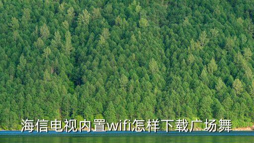 装什么装广场舞 武阿哥下载，怎样用用手机直接下载广场舞到U盘里