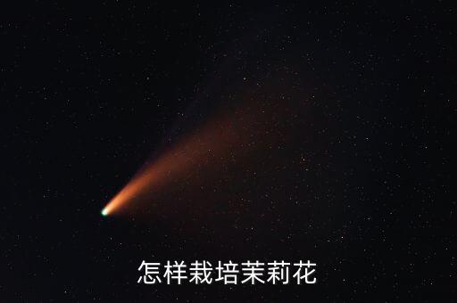怎样栽培茉莉花