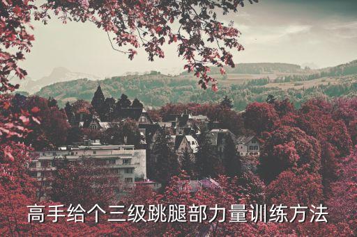 高手给个三级跳腿部力量训练方法
