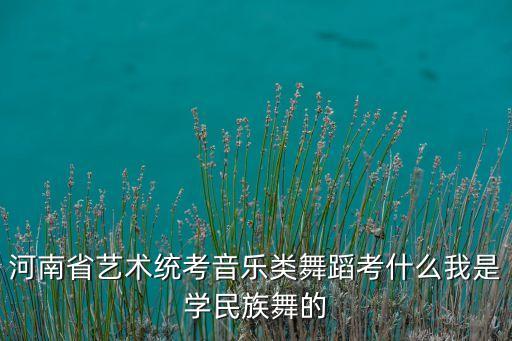 河南省艺术统考音乐类舞蹈考什么我是学民族舞的